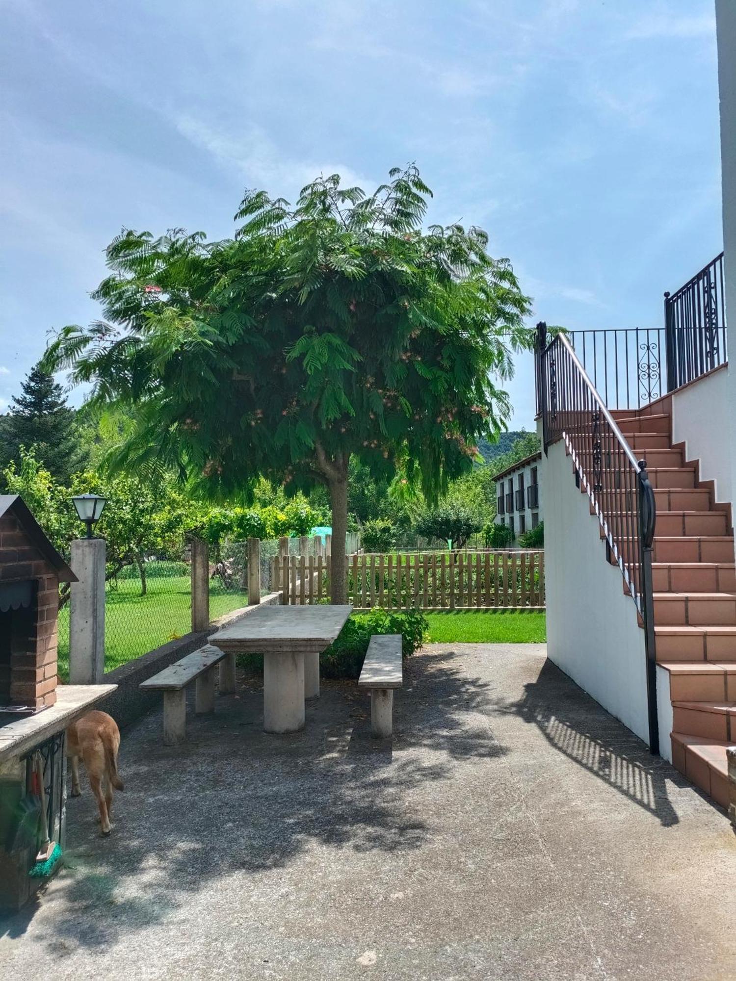 Apartamento Rural Casa Paco Con Jacuzzi Exterior Y Barbacoa Аинса-Собрарбе Экстерьер фото